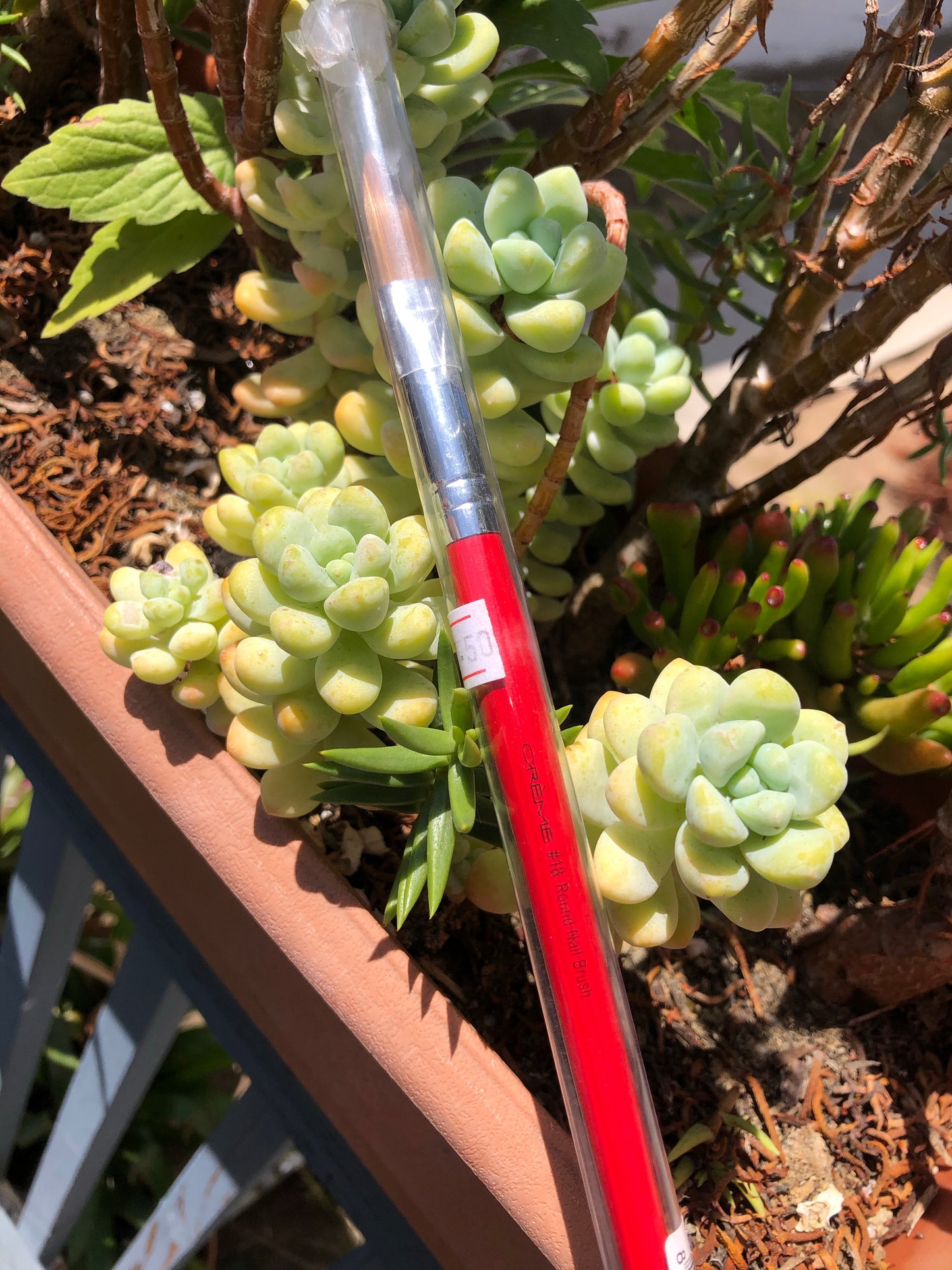 creme round brush for nail art