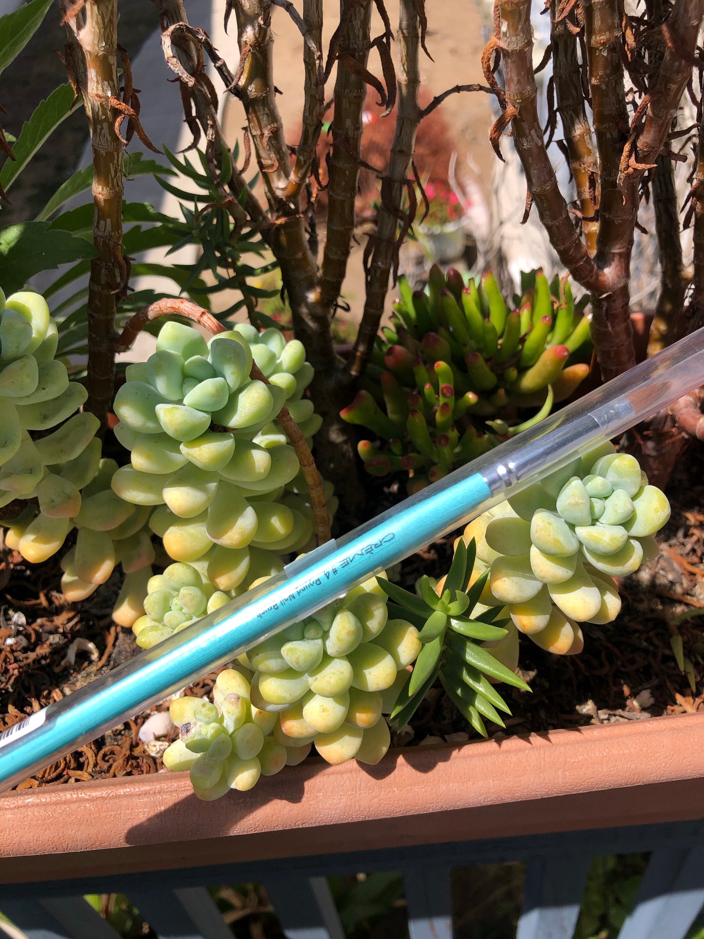 creme round brush for nail art