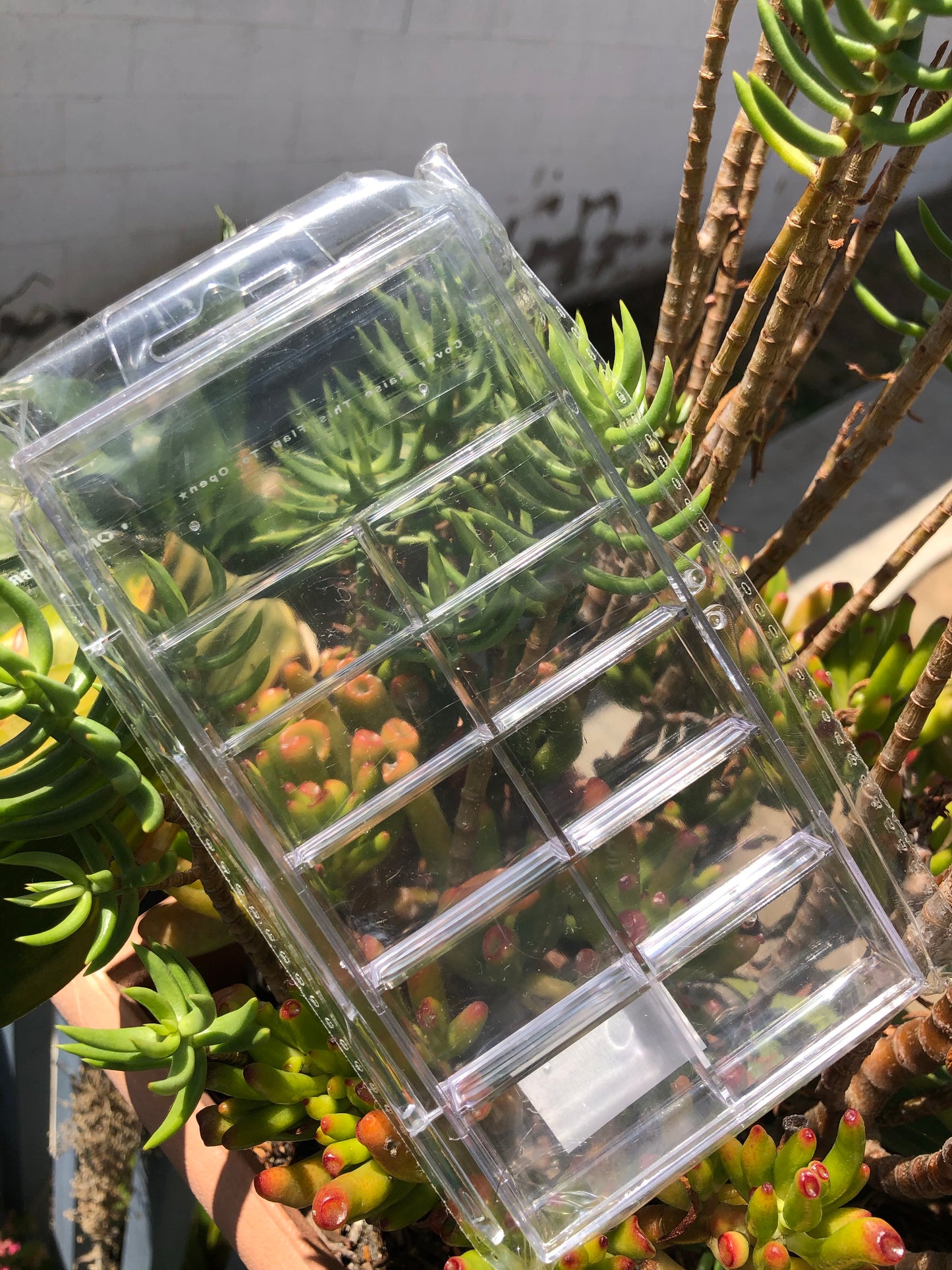 small nail tip organizer clear