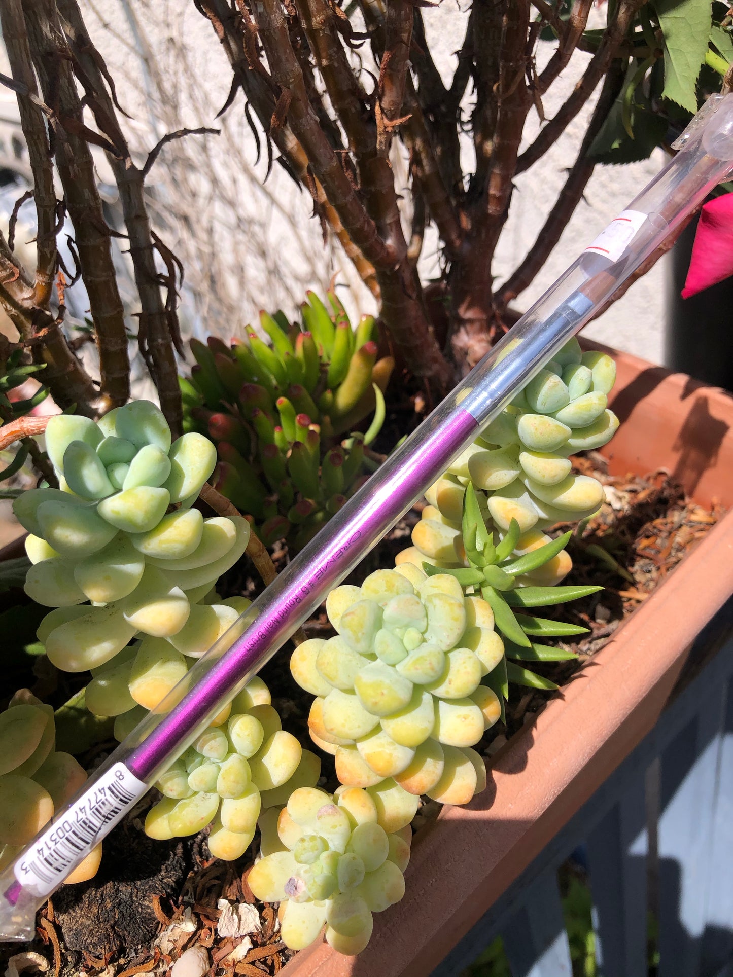 3D creme nail art brush