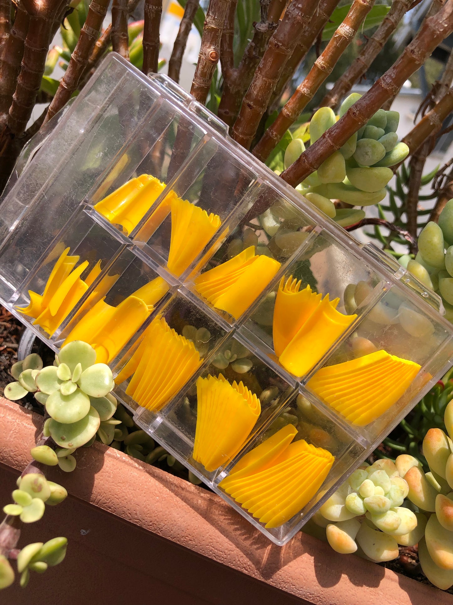 Yellow Nail Tips Box