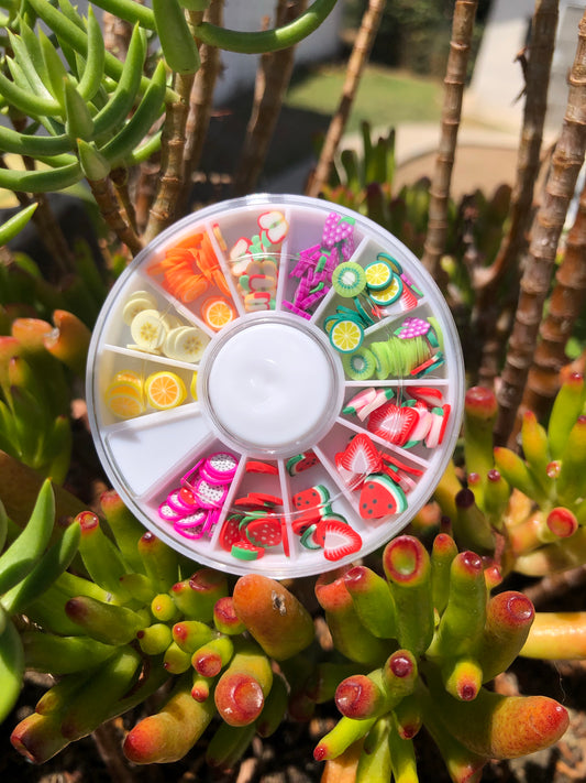 fimo fruit slices variety wheel