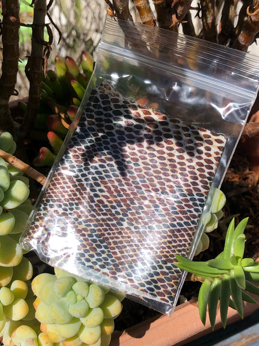 Snake Skin