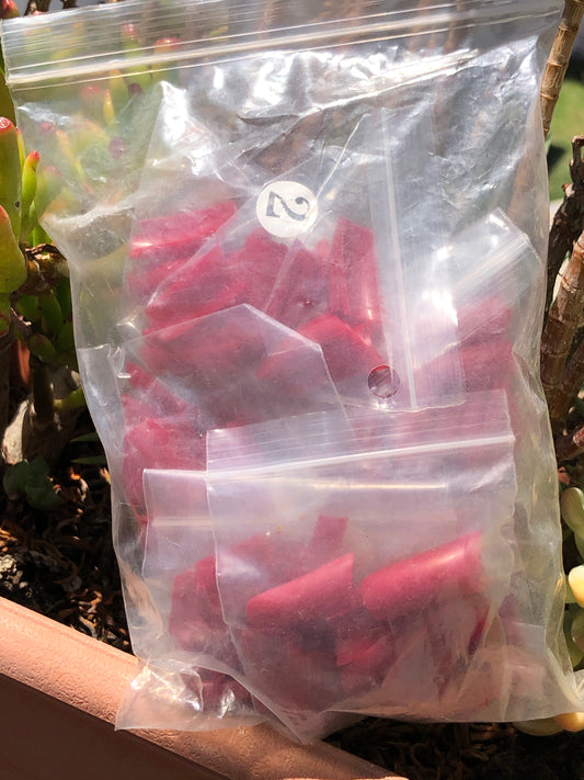red nail tips in a bag