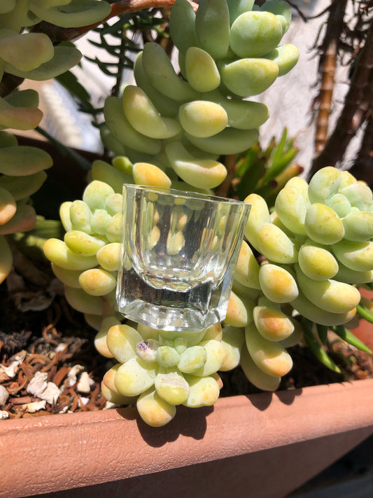 glass damping dish