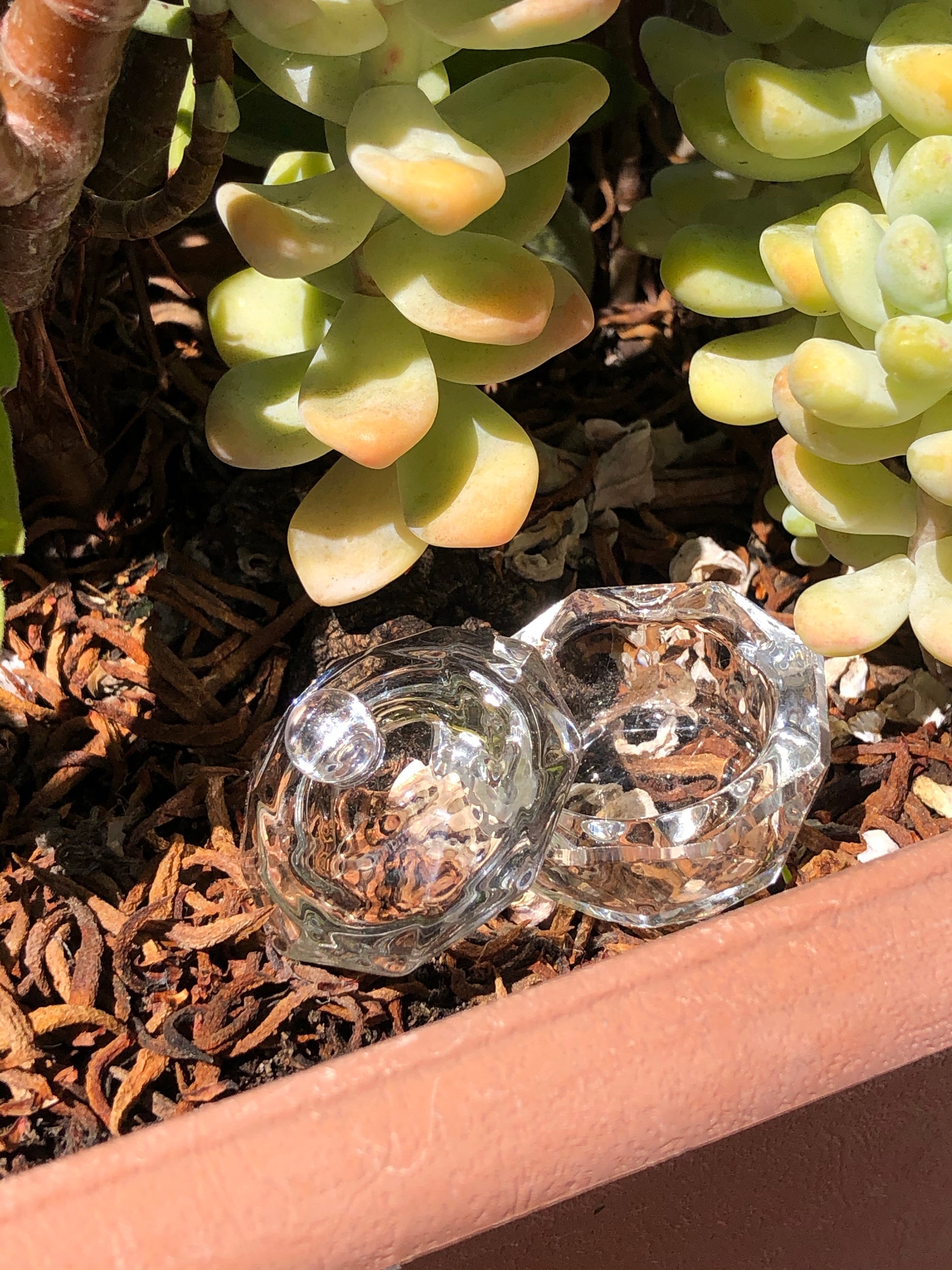 small damping dish with lid for acetone or monomer