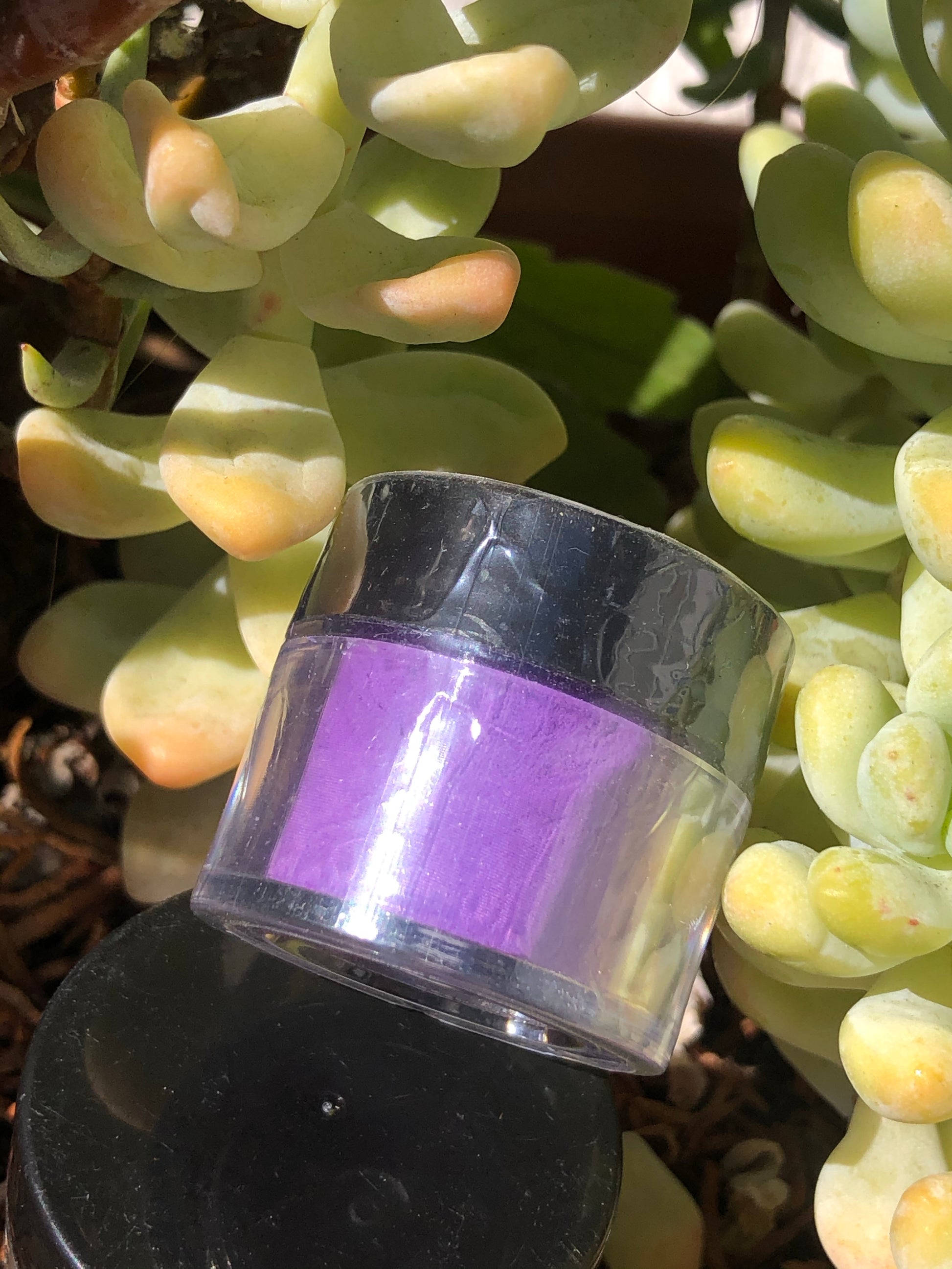 purple acrylic powder