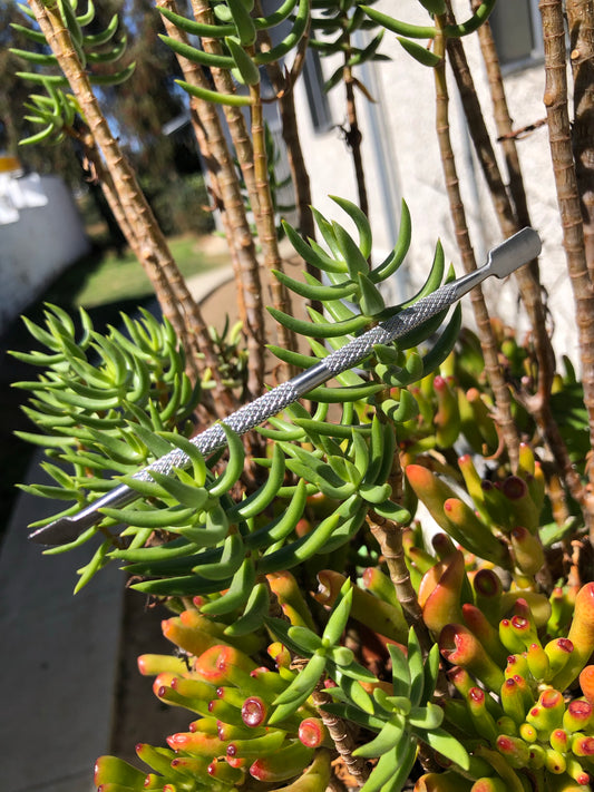 cuticle pusher for manicures