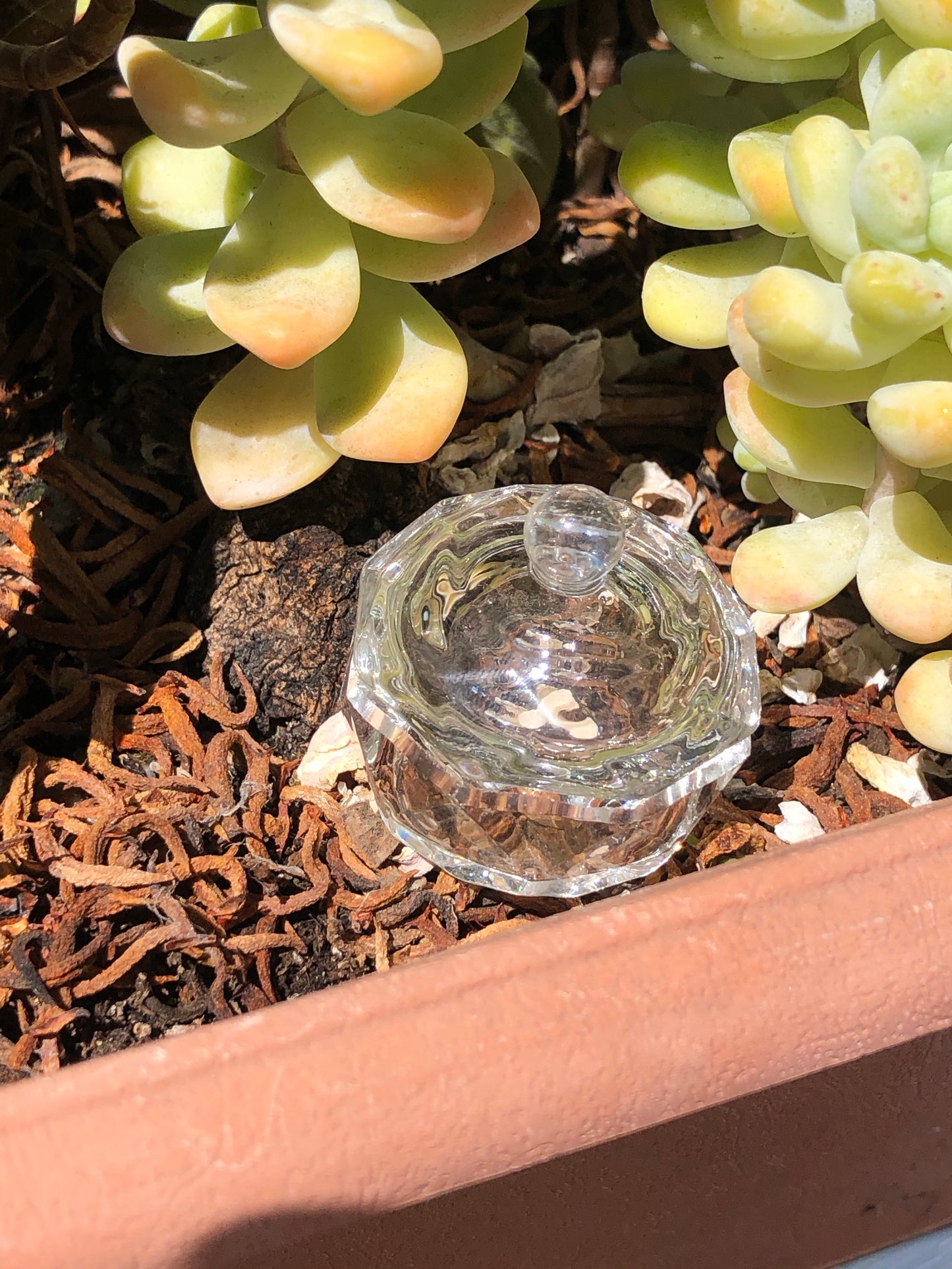 short damping dish with lid for acetone or monomer